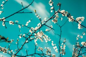 Spring forward